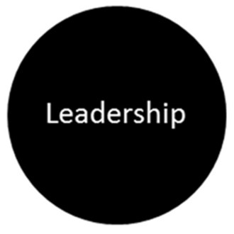 Process safety leadership and how to have some fun