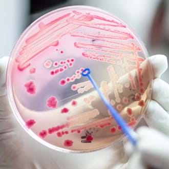 Tackling AMR in wastewater in a carbon neutral way