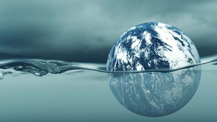 COP27: From ambition to implementation