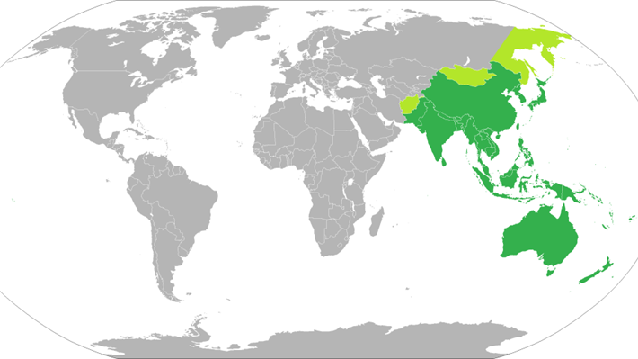 Guest Blog: Account from Asia Pacific on the impact of the coronavirus outbreak on chemical engineers in the region