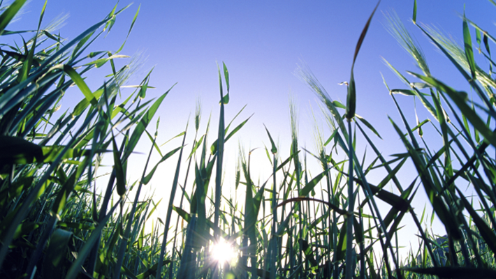 Environment and Clean Technology